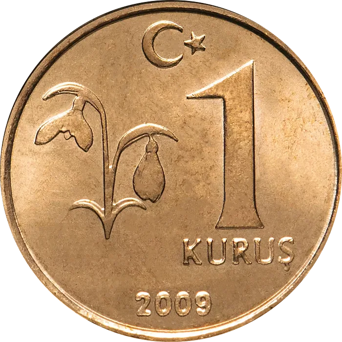 1 Kuruş